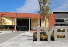 Bellevue Council Update: Safer Speeds, Guidelines for Arts Grants, and Future Public Spaces