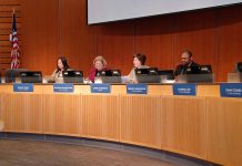 Bellevue Council Update: Parks Levy Receives Further Study, Vision Zero Actions to Combat Rising Injury Toll