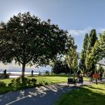 F1634C17-34BC-4EC6-986F-6CB4FD8E1D42_1_201_a