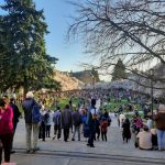 UW Quad lawn with sakura crowd 20220322
