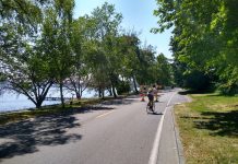 Lake Washington Boulevard to Open for Walking and Rolling on 10 Weekends Someone on a bike using Lake Washington Boulevard