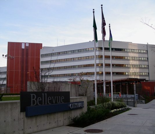 Bellevue Leaders Hear First Public Testimony on City Budget, Weigh Further Restrictions to Supportive Housing A photo of Bellevue city hall with flags