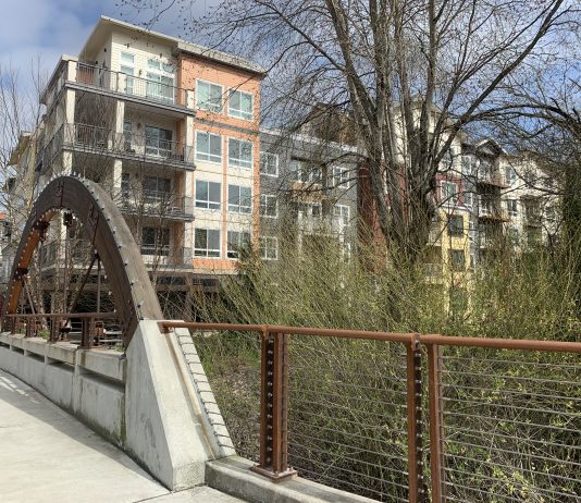 Woodinville’s Downtown District Poised for Major Growth