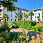 Screen-Shot-2022-05-24-at-1.02.56-PM