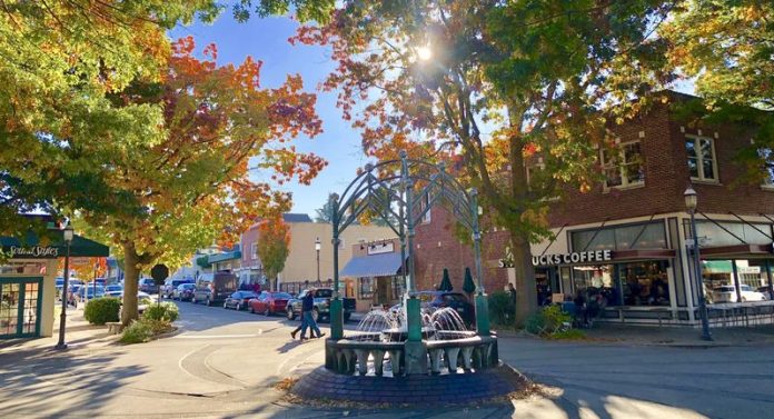 Downtown_Fountain_leaves-sunrise_2019