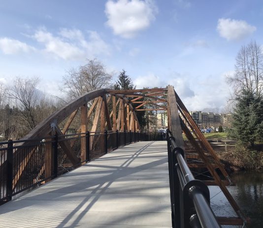 Bothell’s Proposed Citywide Bike Plan Falls Far Short of Expectations