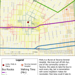 Hospital-Walkshed-Bus