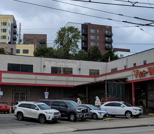 Kuo/郭: Watching Chinatown’s Gentrifying/Generational Change Viet Wah with apartments developing in the back