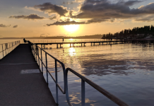 Grassroots Activists Share Their Path to Success in Sunsetting Inequitable Community Councils a photo of a pier at sunset