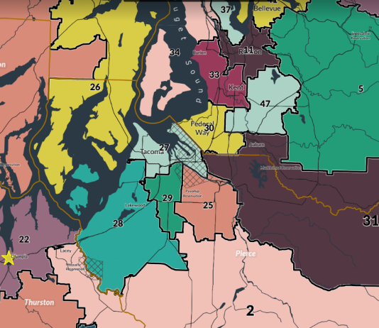 The Urbanist 2022 Questionnaire Responses: South Sound
