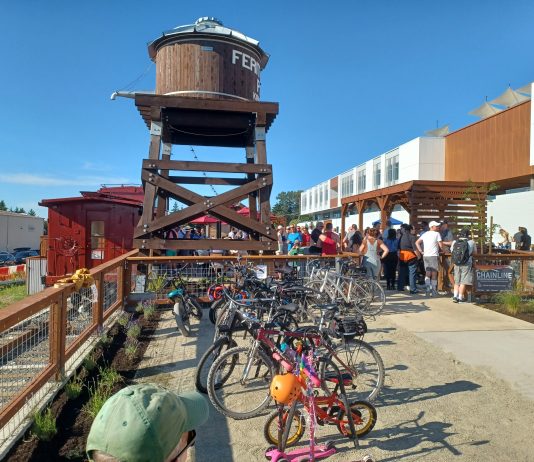 Feriton Spur Park Opens in Kirkland, Provides Trail-Oriented Park Near Google Campus