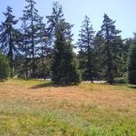 Rainier Greenway 2022