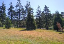 Rainier Valley Greenway Remains Unfinished, Despite Plans Drawn Up and Ready