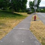 IMG_20220716_132519584