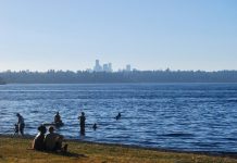 Seattle Is Decades Away from the Heat Mitigation It Needs people sit on the grass and splash in the water of Lake Washington with the Seattle skyline in the distance.