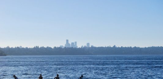 people sit on the grass and splash in the water of Lake Washington with the Seattle skyline in the distance.