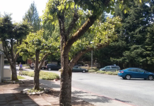 Bellevue to Pilot a Safe Parking Program for Unhoused Residents in Vehicles