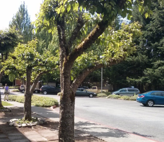 Bellevue to Pilot a Safe Parking Program for Unhoused Residents in Vehicles