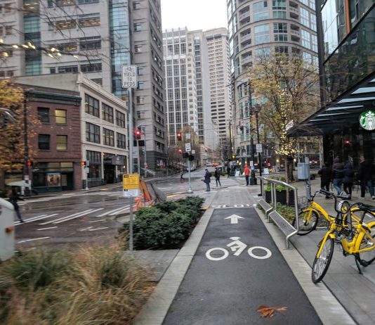 Transpo Notes: Delayed Bus and Bike Facilities, Ferry Pylon Strike, and West Seattle/Ballard Study Priorities