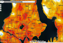 Let’s Throw Shade on Aurora Avenue