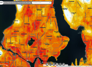 Let’s Throw Shade on Aurora Avenue