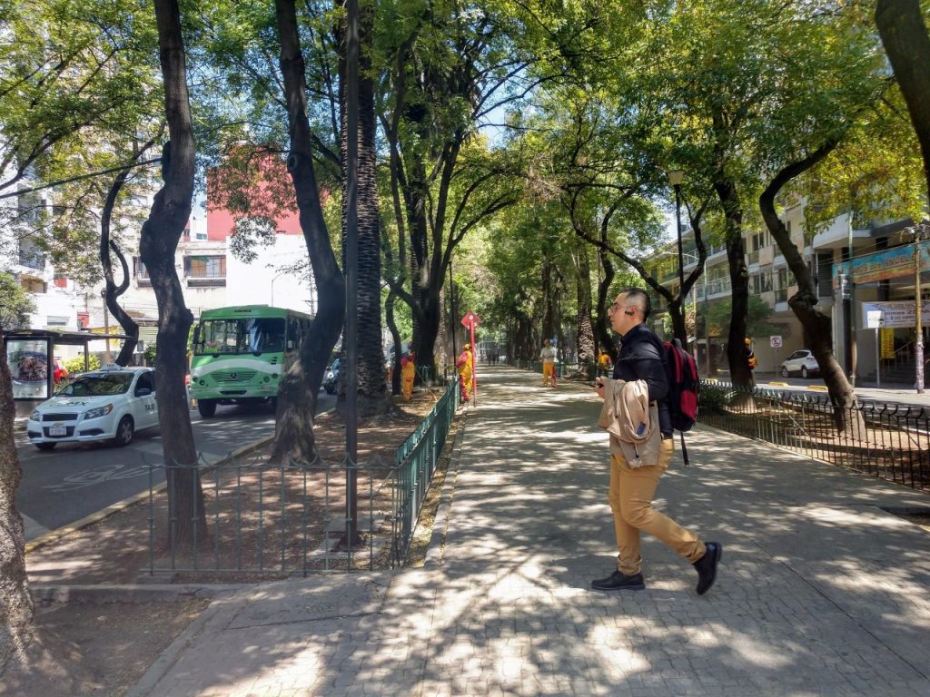 A main walks across a wide street median with trees and paved path for walking.