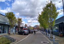 Kirkland to Study the Future of Pedestrianized Park Lane