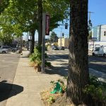 N-81st-Street-bus-stop