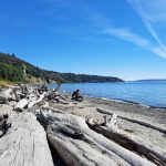 South-Beach-and-Magnolia-Bluffs-at-Discovery-Park