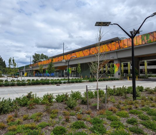 How to Rescue South Bellevue Station from Suburban Asphyxiation South Bellevue station