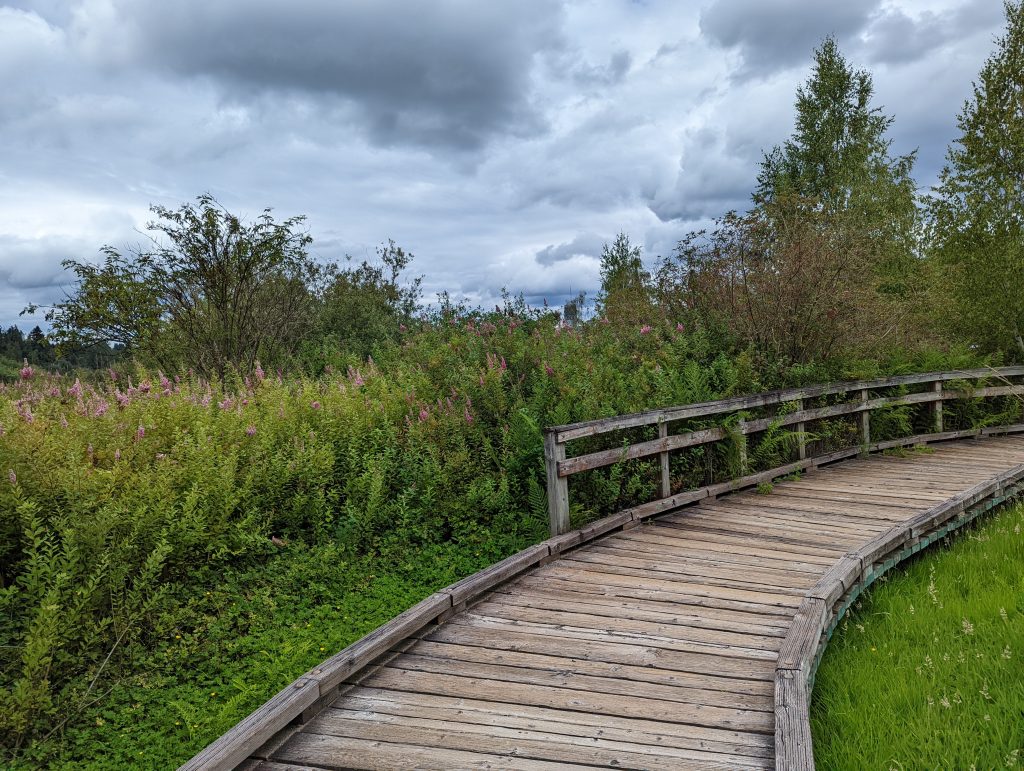 Mercer Slough Park