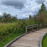 PXL_20220717_194927604