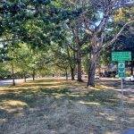 Ravenna-Boulevard-in-the-U-District