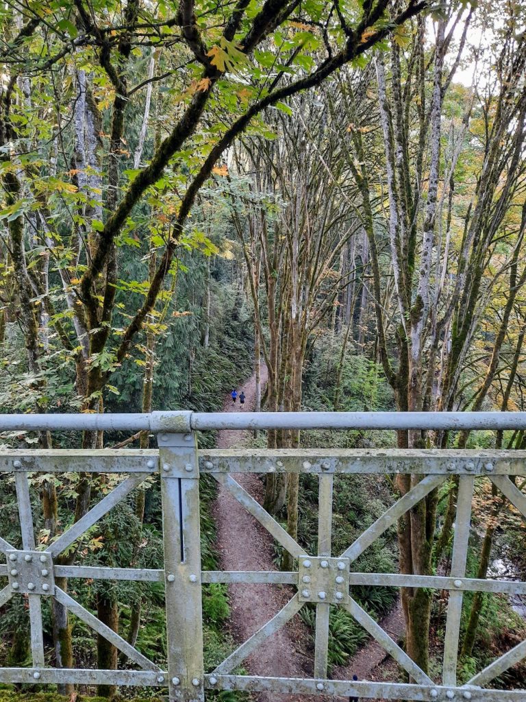 The view from the 20th Avenue pedestrian bridge over Ravenna Park with two joggers using the ravine trail below.