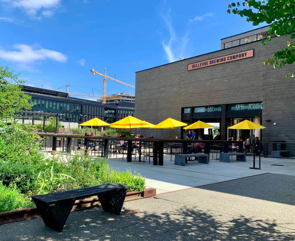 A photo of a bench and vegetation in front of an outdoor restaurant patio with yellow umbrellas.