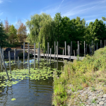 Screen-Shot-2022-08-24-at-5.17.16-PM