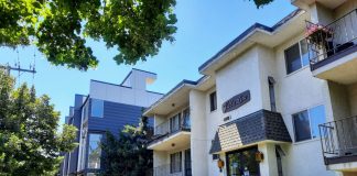 A three-story apartment building next to a three-story townhome complex on leafy California Avenue in West Seattle.