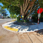 West-Seattle-sidewalk-tree-project