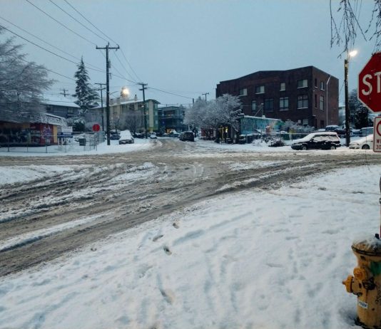 Progressive Seattle Enters a Fallow Season