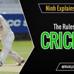 Elevate Cricket in Incoming Bellevue, Kirkland, and Seattle Parks Levies