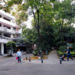 pedestrians-in-Hipodromo-CDMX-center-greenway-path
