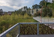 Totem Lake Shoulders Kirkland’s Transformation and Growth Village @ Totem Lake from Totem Lake Park
