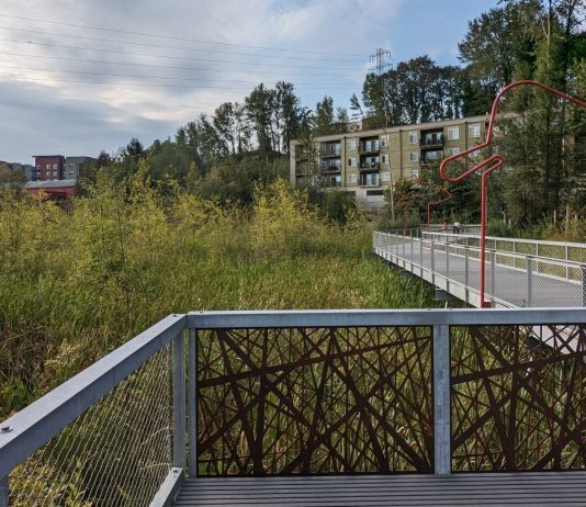 Totem Lake Shoulders Kirkland’s Transformation and Growth Village @ Totem Lake from Totem Lake Park