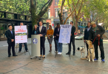 Lewis’ Increased Seattle Parks Spending Would Invest in Climate, Equity Fund, Off-Leash Areas