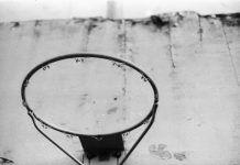 The View From Nathan’s Bus: Of Dogs and Men