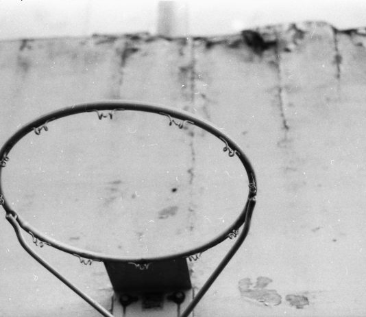 The View From Nathan’s Bus: Of Dogs and Men