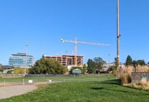 Downtown and Rose Hill: Kirkland’s Corridor of Dense New Development Peter Kirk Park with Kirkland Urban and construction in the background