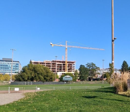 Downtown and Rose Hill: Kirkland’s Corridor of Dense New Development Peter Kirk Park with Kirkland Urban and construction in the background