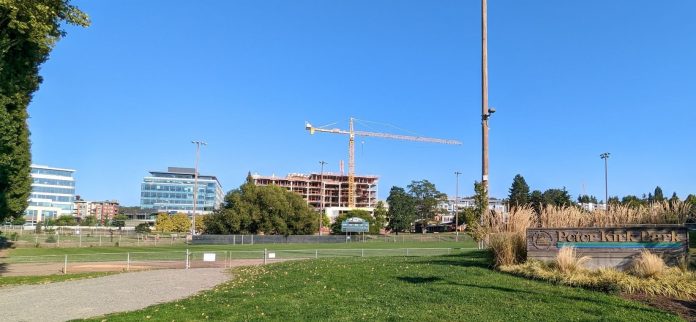Peter Kirk Park with Kirkland Urban and construction in the background