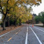 West-Green-Lake-Way-in-fall-colors-with-cones-for-new-PBL-20221029